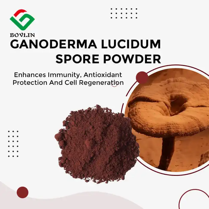 Ganoderma Lucidum Spore Powder